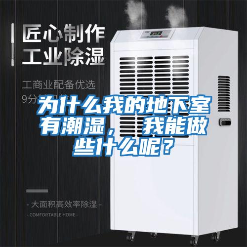 為什么我的地下室有潮濕， 我能做些什么呢？