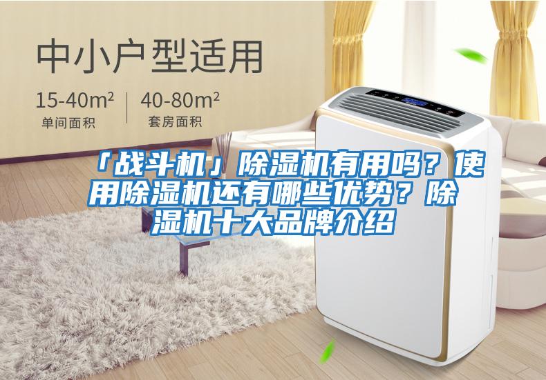 「戰(zhàn)斗機(jī)」除濕機(jī)有用嗎？使用除濕機(jī)還有哪些優(yōu)勢(shì)？除濕機(jī)十大品牌介紹