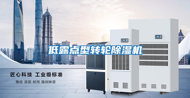 低露點型轉(zhuǎn)輪除濕機