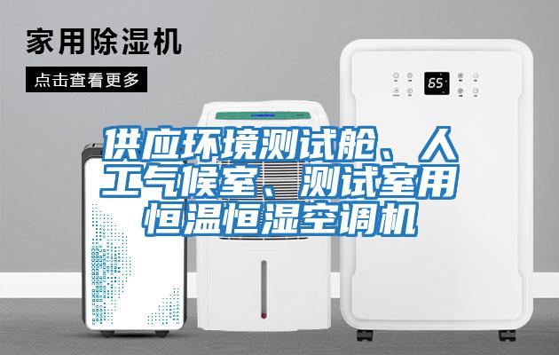 供應(yīng)環(huán)境測試艙、人工氣候室、測試室用恒溫恒濕空調(diào)機(jī)