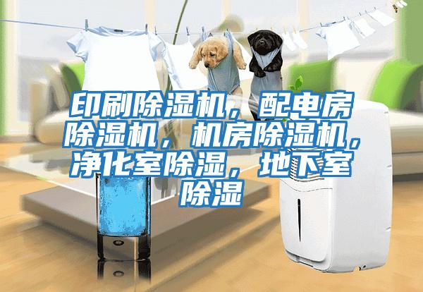 印刷除濕機,配電房除濕機,機房除濕機,凈化室除濕,地下室除濕