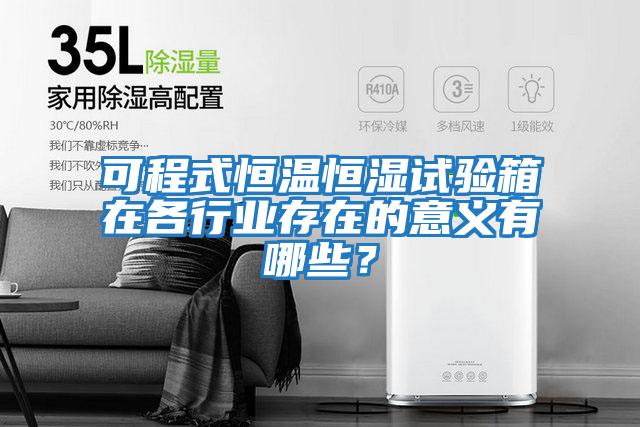 可程式恒溫恒濕試驗箱在各行業(yè)存在的意義有哪些？