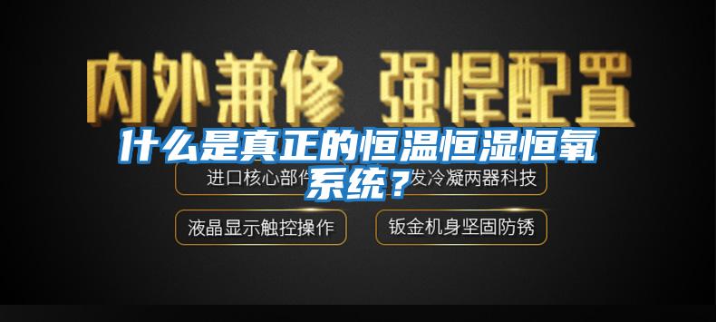 什么是真正的恒溫恒濕恒氧系統(tǒng)？