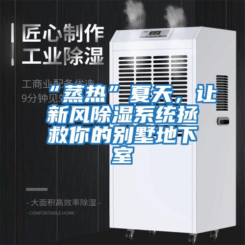“蒸熱”夏天，讓新風除濕系統拯救你的別墅地下室