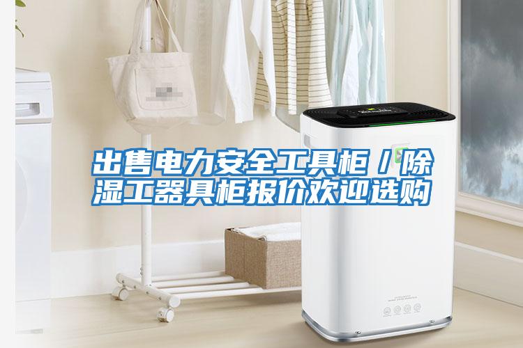 出售電力安全工具柜／除濕工器具柜報價歡迎選購