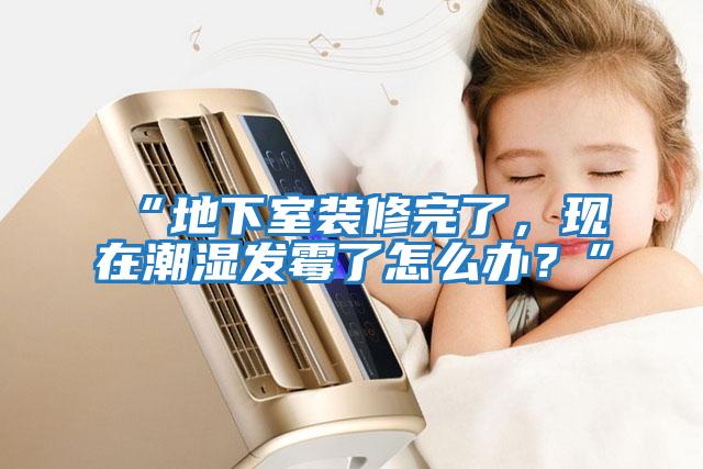 “地下室裝修完了，現(xiàn)在潮濕發(fā)霉了怎么辦？”