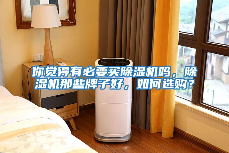你覺得有必要買除濕機(jī)嗎，除濕機(jī)那些牌子好，如何選購？