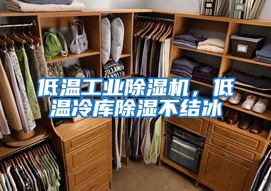 低溫工業除濕機，低溫冷庫除濕不結冰