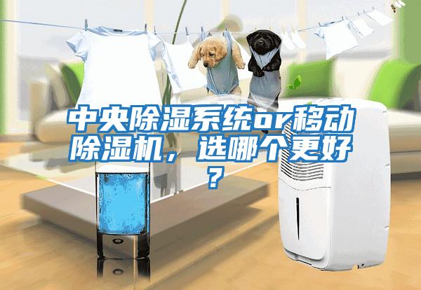 中央除濕系統(tǒng)or移動除濕機(jī)，選哪個(gè)更好？