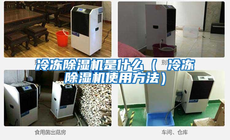 冷凍除濕機是什么（ 冷凍除濕機使用方法）