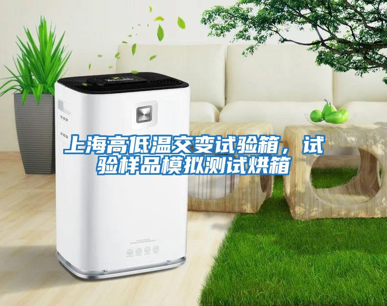 上海高低溫交變試驗(yàn)箱，試驗(yàn)樣品模擬測試烘箱