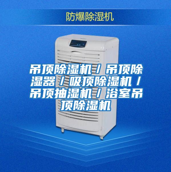 吊頂除濕機(jī)/吊頂除濕器/吸頂除濕機(jī)/吊頂抽濕機(jī)/浴室吊頂除濕機(jī)