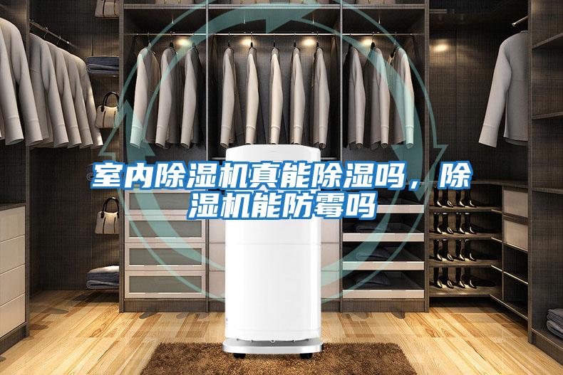 室內(nèi)除濕機(jī)真能除濕嗎，除濕機(jī)能防霉嗎