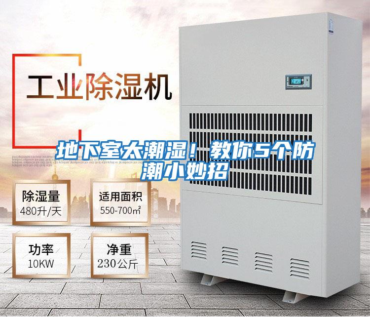 地下室太潮濕!教你5個防潮小妙招