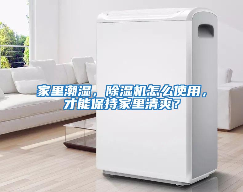 家里潮濕，除濕機怎么使用，才能保持家里清爽？