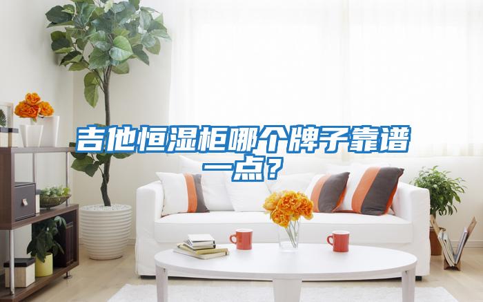 吉他恒濕柜哪個(gè)牌子靠譜一點(diǎn)？