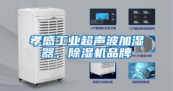 孝感工業(yè)超聲波加濕器，除濕機(jī)品牌