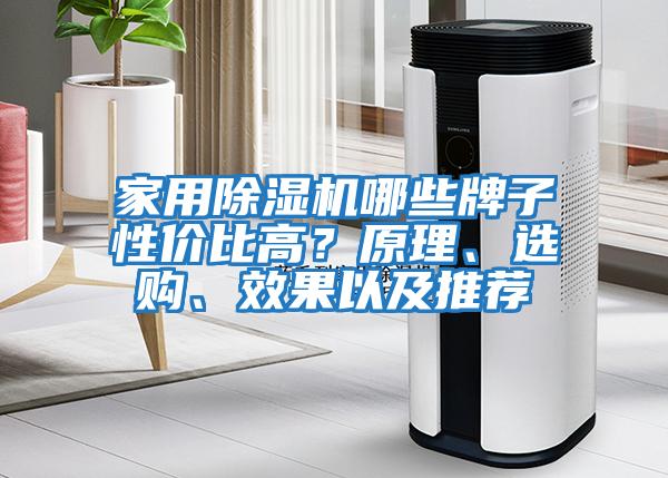 家用除濕機(jī)哪些牌子性價(jià)比高？原理、選購、效果以及推薦