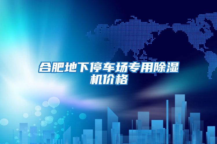 合肥地下停車(chē)場(chǎng)專(zhuān)用除濕機(jī)價(jià)格