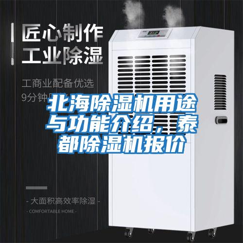 北海除濕機用途與功能介紹，泰都除濕機報價