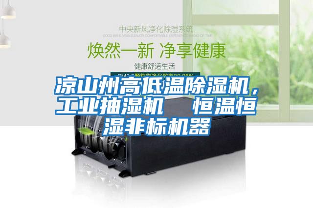 涼山州高低溫除濕機，工業(yè)抽濕機  恒溫恒濕非標機器