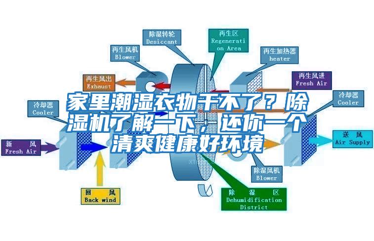 家里潮濕衣物干不了？除濕機了解一下，還你一個清爽健康好環境