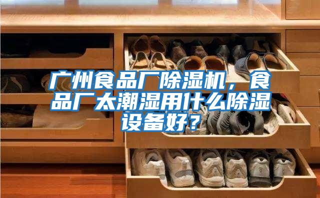 廣州食品廠除濕機，食品廠太潮濕用什么除濕設備好？