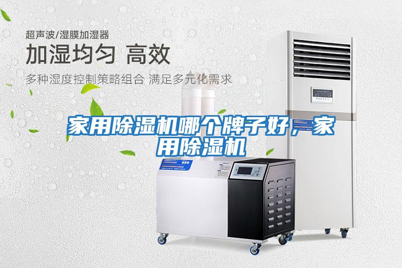 家用除濕機哪個牌子好，家用除濕機