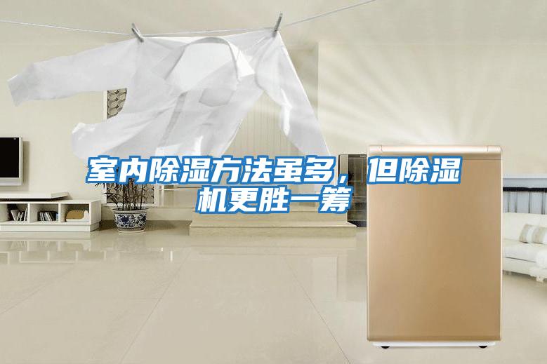 室內除濕方法雖多，但除濕機更勝一籌