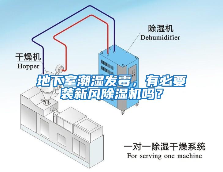 地下室潮濕發(fā)霉，有必要裝新風(fēng)除濕機嗎？