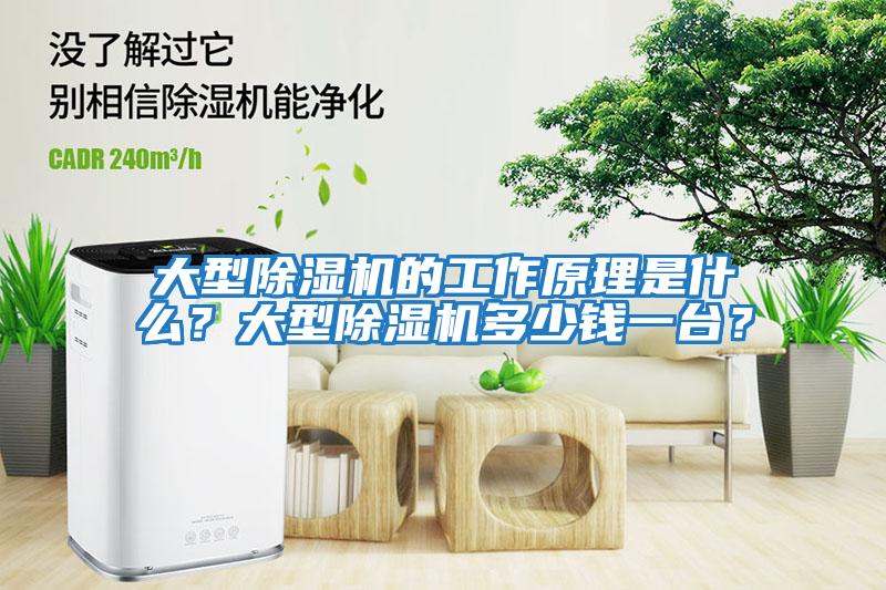 大型除濕機的工作原理是什么？大型除濕機多少錢一臺？