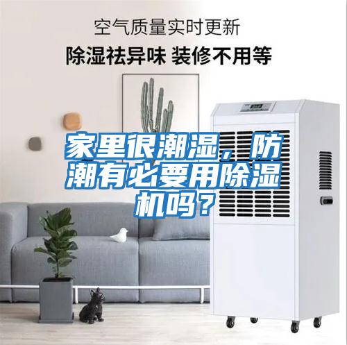 家里很潮濕，防潮有必要用除濕機(jī)嗎？
