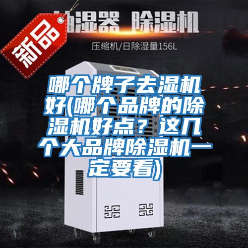 哪個牌子去濕機好(哪個品牌的除濕機好點?這幾個大品牌除濕機一定要看)