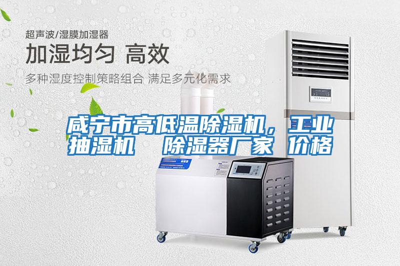 咸寧市高低溫除濕機(jī)，工業(yè)抽濕機(jī)  除濕器廠家 價(jià)格