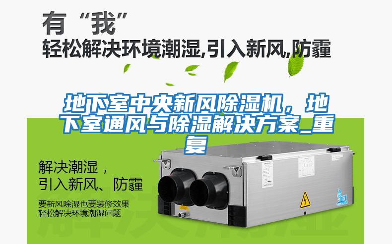 地下室中央新風除濕機，地下室通風與除濕解決方案_重復