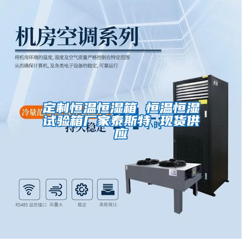 定制恒溫恒濕箱 恒溫恒濕試驗(yàn)箱廠(chǎng)家泰斯特 現(xiàn)貨供應(yīng)