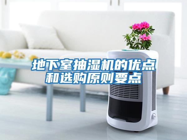 地下室抽濕機(jī)的優(yōu)點和選購原則要點