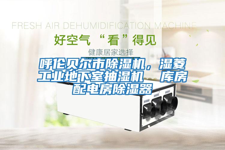 呼倫貝爾市除濕機，濕菱工業地下室抽濕機  庫房配電房除濕器