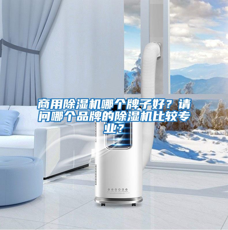 商用除濕機哪個牌子好？請問哪個品牌的除濕機比較專業？