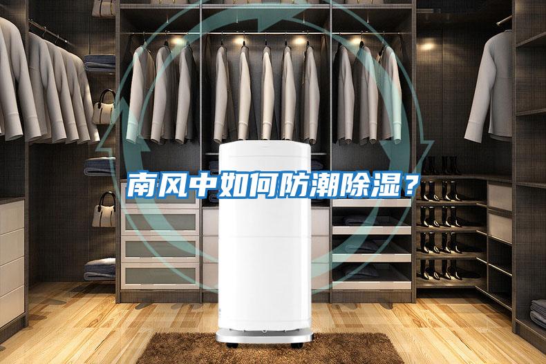 南風中如何防潮除濕？