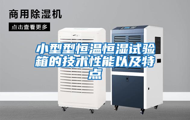 小型型恒溫恒濕試驗箱的技術性能以及特點