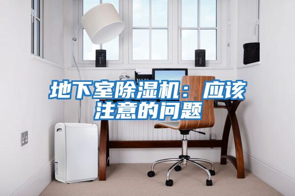 地下室除濕機(jī):應(yīng)該注意的問題