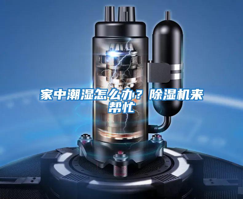 家中潮濕怎么辦？除濕機來幫忙