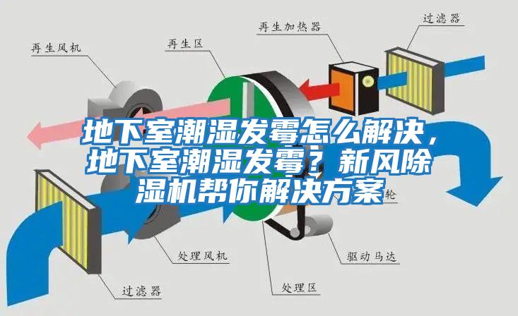地下室潮濕發(fā)霉怎么解決，地下室潮濕發(fā)霉？新風(fēng)除濕機(jī)幫你解決方案