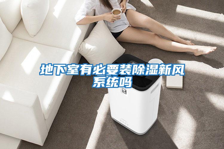 地下室有必要裝除濕新風系統(tǒng)嗎