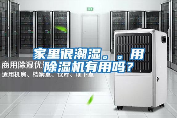 家里很潮濕。。用除濕機有用嗎？