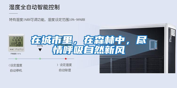 在城市里，在森林中，盡情呼吸自然新風