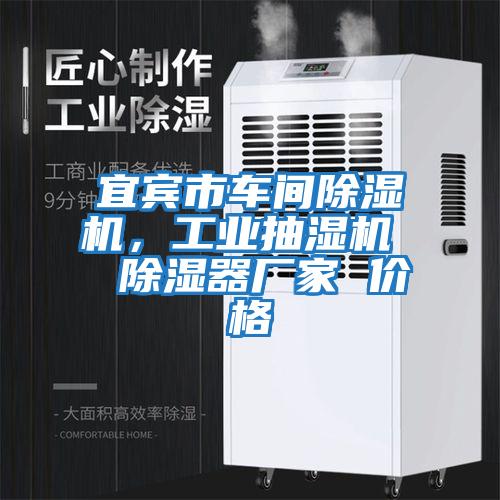 宜賓市車間除濕機(jī)，工業(yè)抽濕機(jī)  除濕器廠家 價格