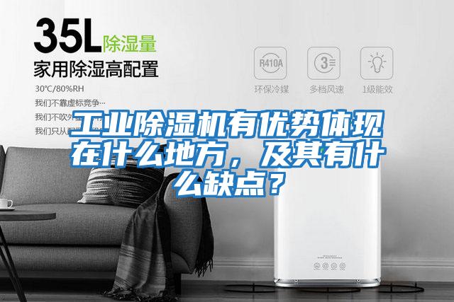 工業(yè)除濕機(jī)有優(yōu)勢(shì)體現(xiàn)在什么地方，及其有什么缺點(diǎn)？