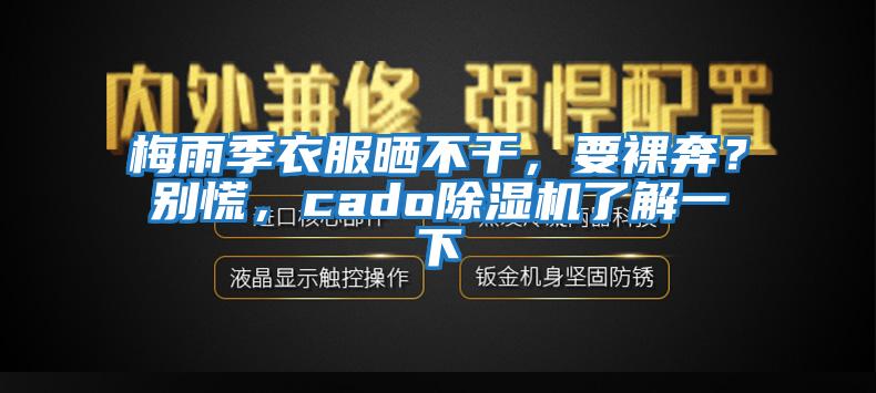 梅雨季衣服曬不干，要裸奔？別慌，cado除濕機了解一下